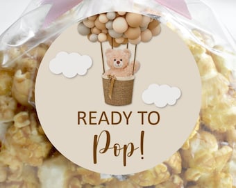 Ready To Pop Sticker Bear Baby Shower Hot Air Balloon Teddy Bear We Can Bearly Wait Popcorn Bag Labels Favor Tags Printable NOT Editable C14