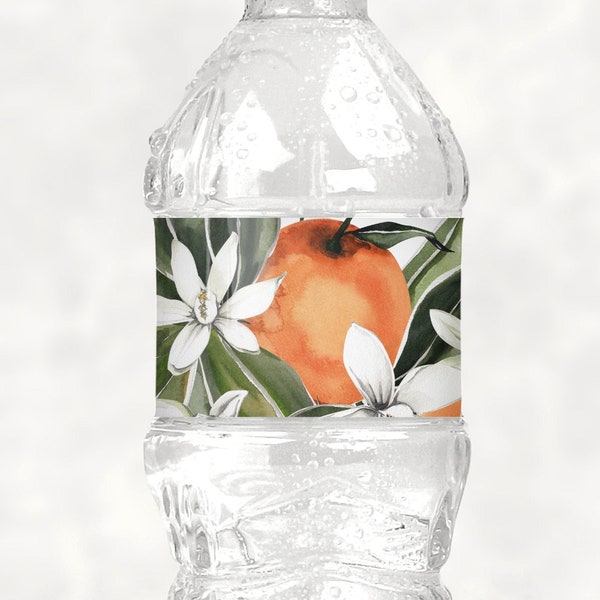 Orange Citrus Water Bottle Labels Printable Labels Bottle Wrappers NOT Editable A8 B8 C8