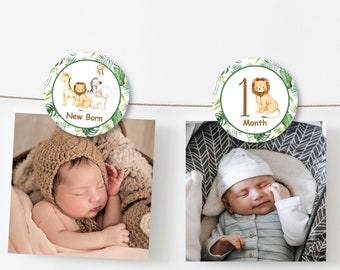 PRINTABLE Jungle Safari 12 Month Photo Banner, First Birthday Photo Banner, Picture Banner 0127