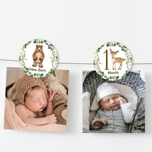 PRINTABLE Woodland Animals 12 Month Photo Banner First Birthday Photo Banner Picture Banner NOT Editable 0120