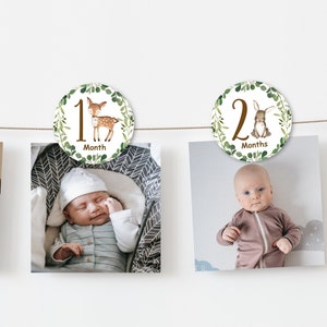 12 Monate Waldtiere Girlande Partygirlande zum Ausdrucken 0120
