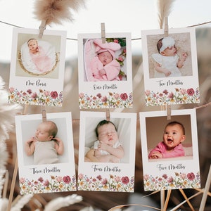 Banner fotográfico editable con flores silvestres para el primer cumpleaños Banner fotográfico de cumpleaños con flores rosas Plantilla de tarjetas fotográficas con hitos mensuales Corjl 0123