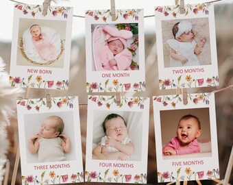 Editable Wildflower First Birthday Photo Banner Template, Baby's 1st Year Monthly Milestone Cards, Corjl 0123