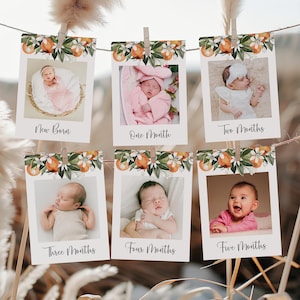 Bearbeitbare Citrus Erster Geburtstag Foto Banner Little Cutie Geburtstag 1st Geburtstag Foto Banner Monatliche Meilenstein Fotokarte Vorlage Corjl 0125