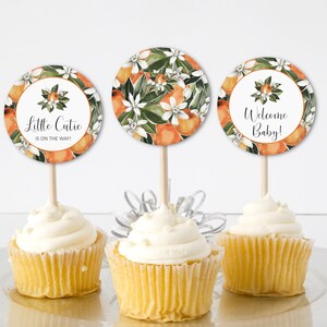 Little Cutie Baby Shower Cupcake Toppers Orange Citrus Baby Shower Food Decoration Printable Topper