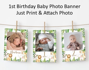 Safari Birthday 12 Month Photo Banner Jungle Animal First Birthday Photo Banner Picture Banner NOT Editable 0127