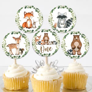 Woodland Cupcake Toppers Woodland Birthday Woodland Animals Boy First Birthday Party Decor Printable Topper  0120