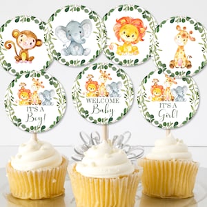 48pcs Jungle Animal Cupcake Toppers Picks Baby Shower Fête Anniversaire Faveurs 48pcs Jungle Animal Cupcake Toppers Picks Baby Shower Fête Anniversaire Faveurs