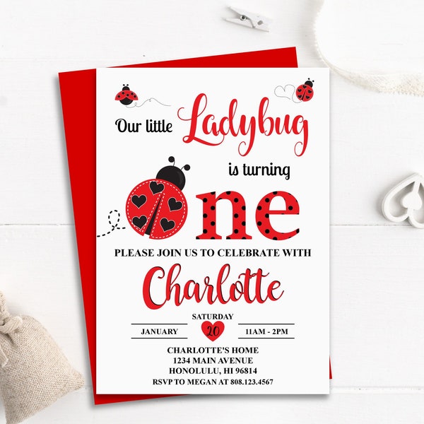 CUSTOM Ladybug Birthday Invitation Girl 1st Birthday Invitation Printable Invite Digital File A63