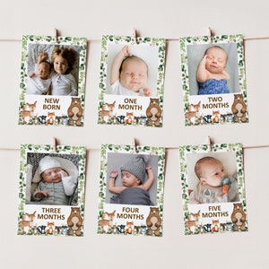 Editable Woodland First Birthday Photo Banner Monthly Photo Banner Baby 1st Year Photo Banner 12 Months Picture Banner Printable Corjl 0120