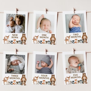 Editable Woodland First Year Birthday Photo Banner Woodland Animal Monthly Milestone Photo Card Printable Template Corjl 0120