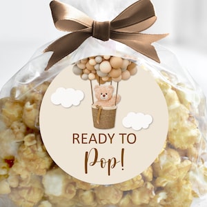 Ready To Pop Sticker Bear Baby Shower Hot Air Balloon Teddy Bear We Can Bearly Wait Popcorn Bag Labels Favor Tags Printable  C14