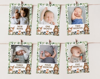 Editable Woodland First Year Birthday Photo Banner Woodland Animal Monthly Milestone Photo Card Printable Template Corjl 0120