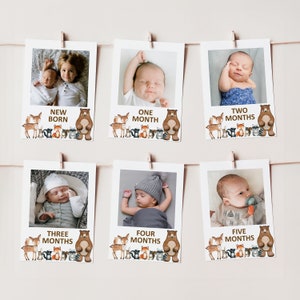 Editable Woodland Birthday First Year Photo Banner Monthly Pictures Banner Forest Animals 1st Birthday Party Decor Corjl 0120