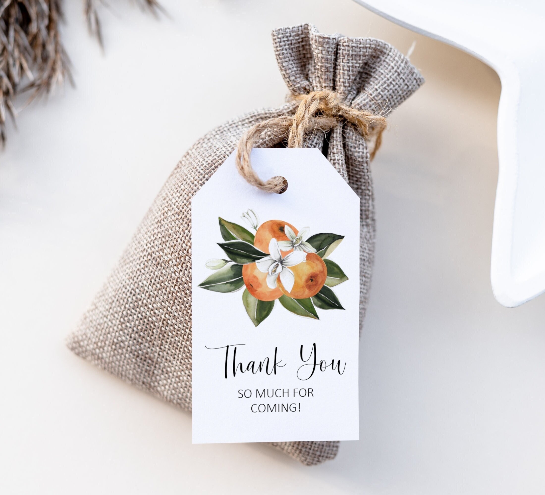 Naranja Citrus Little Cutie Baby Shower Gracias Etiquetas Favor Etiquetas Etiquetas de Regalo Imprimibles NO Editables 0125