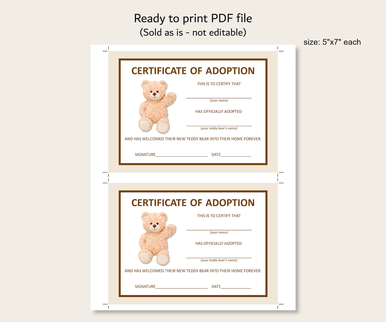 Adopt a Teddy Bear Adoption Certificate Teddy Bear Birthday Etsy