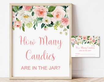 Guess How Many Candies Are In The Jar Girl Blush Pink Floral Baby Shower Game Printable Candy Game NOT Editable C80