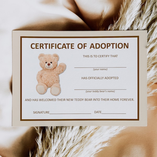 Adopt a Teddy Bear Adoption Certificate Teddy Bear Birthday Hot Air Balloon Bear Baby Shower Bear Party Printable NOT Editable A14 C14