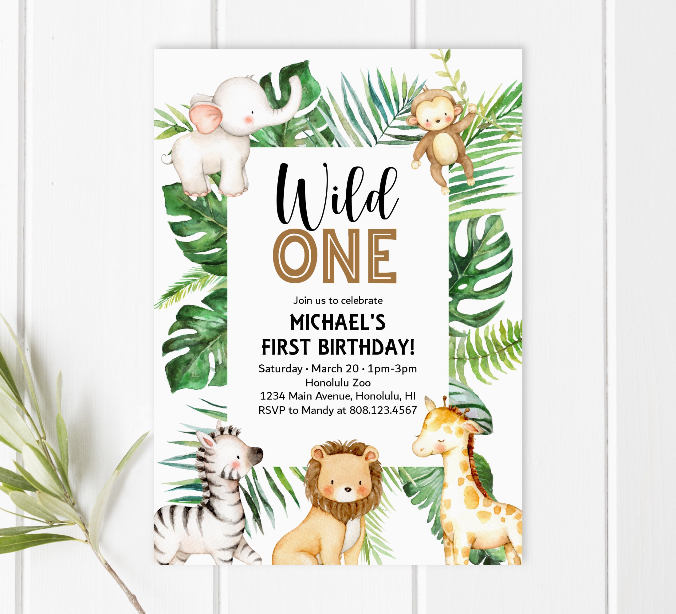 Kit Theme Anniversaire Jungle Safari Pour 20 Invites