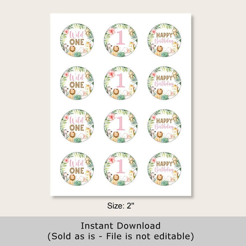 Safari Girl 1st Birthday Cupcake Toppers – Pink Jungle Animals Wild One ...