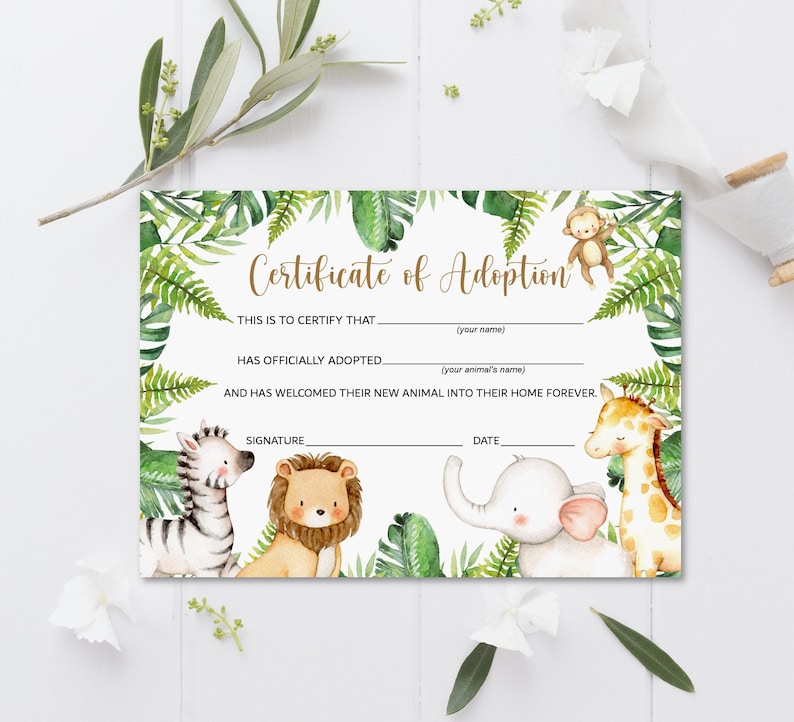 Pode incluir: Um certificado de ado&ccedil;&atilde;o com tema de selva. O certificado tem espa&ccedil;os para preencher o nome da pessoa que adota e o nome do animal que est&aacute; sendo adotado. O certificado &eacute; decorado com ilustra&ccedil;&otilde;es de uma zebra, um le&atilde;o, um elefante, uma girafa e um macaco.