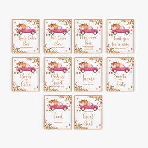 Editable 10 Pink Pumpkin Fall Baby Shower Signs Little Pumpkin Baby Shower Decor 5x7 & 8x10 Template Corjl 0117
