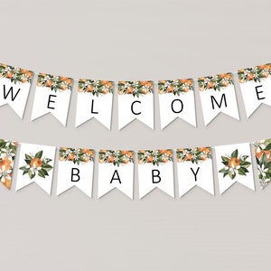 Bearbeitbares Citrus Baby Shower Banner Willkommen Baby Banner Vorlage Eine kleine süße Babyparty Dekor Corjl 0125