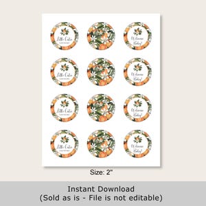 Little Cutie Cupcake Toppers – Citrus Baby Shower Printable Food Decorations 0125 image 2