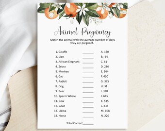 Animal Pregnancy Game Citrus Baby Shower Game Little Cutie Baby Shower Orange Theme Animal Gestation Game Printable NOT Editable C8