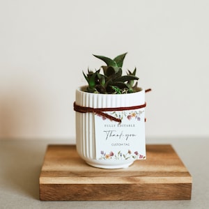 Pode incluir: Uma pequena planta suculenta em um vaso de cer&acirc;mica branco com textura canelada. O vaso &eacute; amarrado com uma fita marrom e uma etiqueta de presente branca com o texto "FULLY EDITABLE Thank you CUSTOM TAG" e ilustra&ccedil;&otilde;es florais.