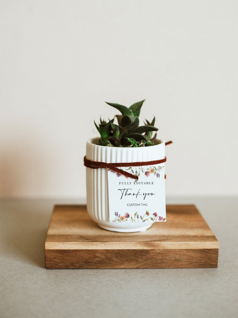 Pode incluir: Uma pequena planta suculenta em um vaso de cer&acirc;mica branco com textura canelada. O vaso &eacute; amarrado com uma fita marrom e uma etiqueta de presente branca com o texto "FULLY EDITABLE Thank you CUSTOM TAG" e ilustra&ccedil;&otilde;es florais.