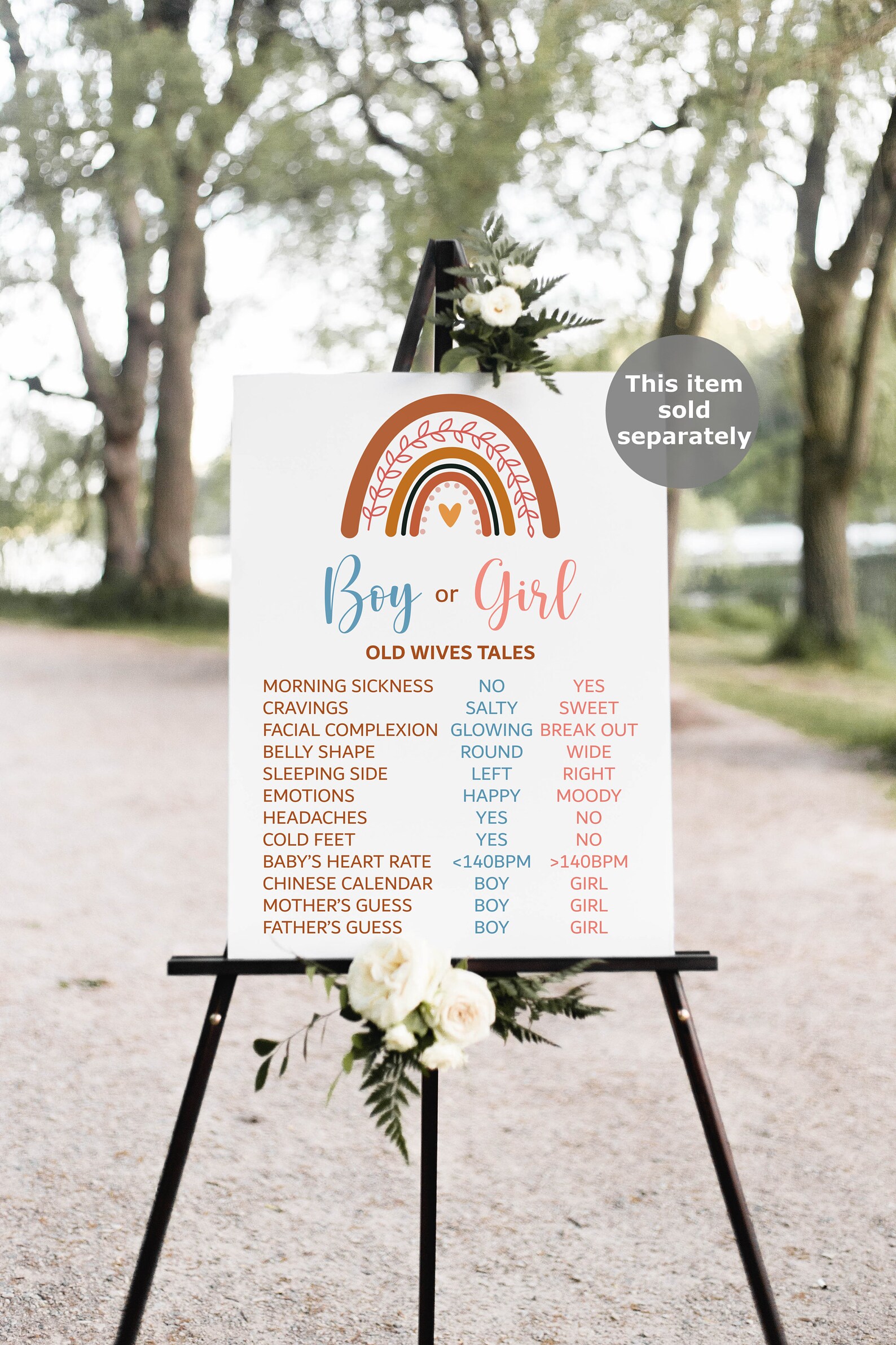 Boho Rainbow Gender Reveal Voting Board Sign Guess Boy or Girl Etsy