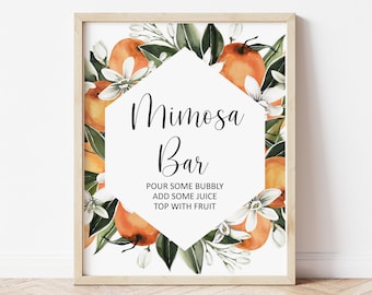 Citrus Mimosa Bar Sign Bridal Shower Bridal Brunch Decorations Printable 0125