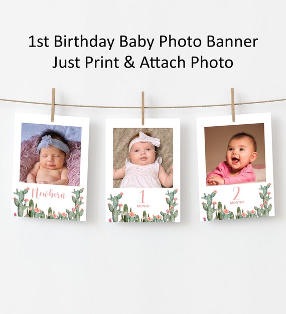 Cactus Birthday Photo Banner 12 Month Photo Banner Girl Fiesta Birthday Baby 1st Year Monthly Picture Banner Printable NOT Editable A10 Il_570xn