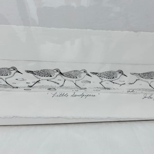 John Furches Gallery print etching limited ed.  &quot;Little Sandpipers&quot; art black-and-white print depicts six sandpipers running along a beach