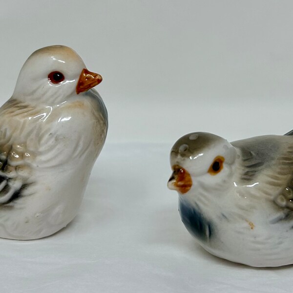 Bird Salt and Pepper Shaker Etsy