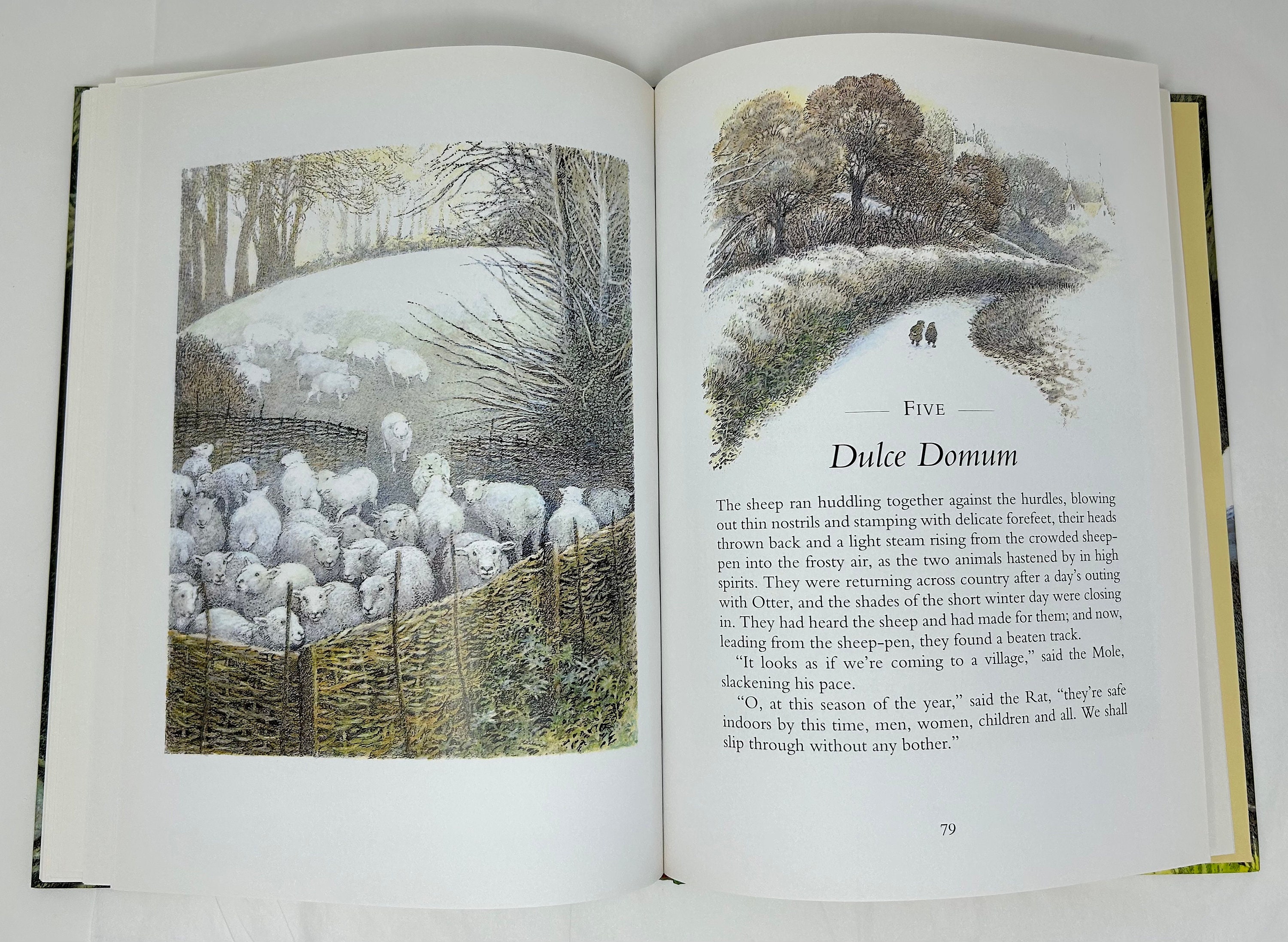 1996 the River Bank and Other Stories From the Wind in the Willows by ...