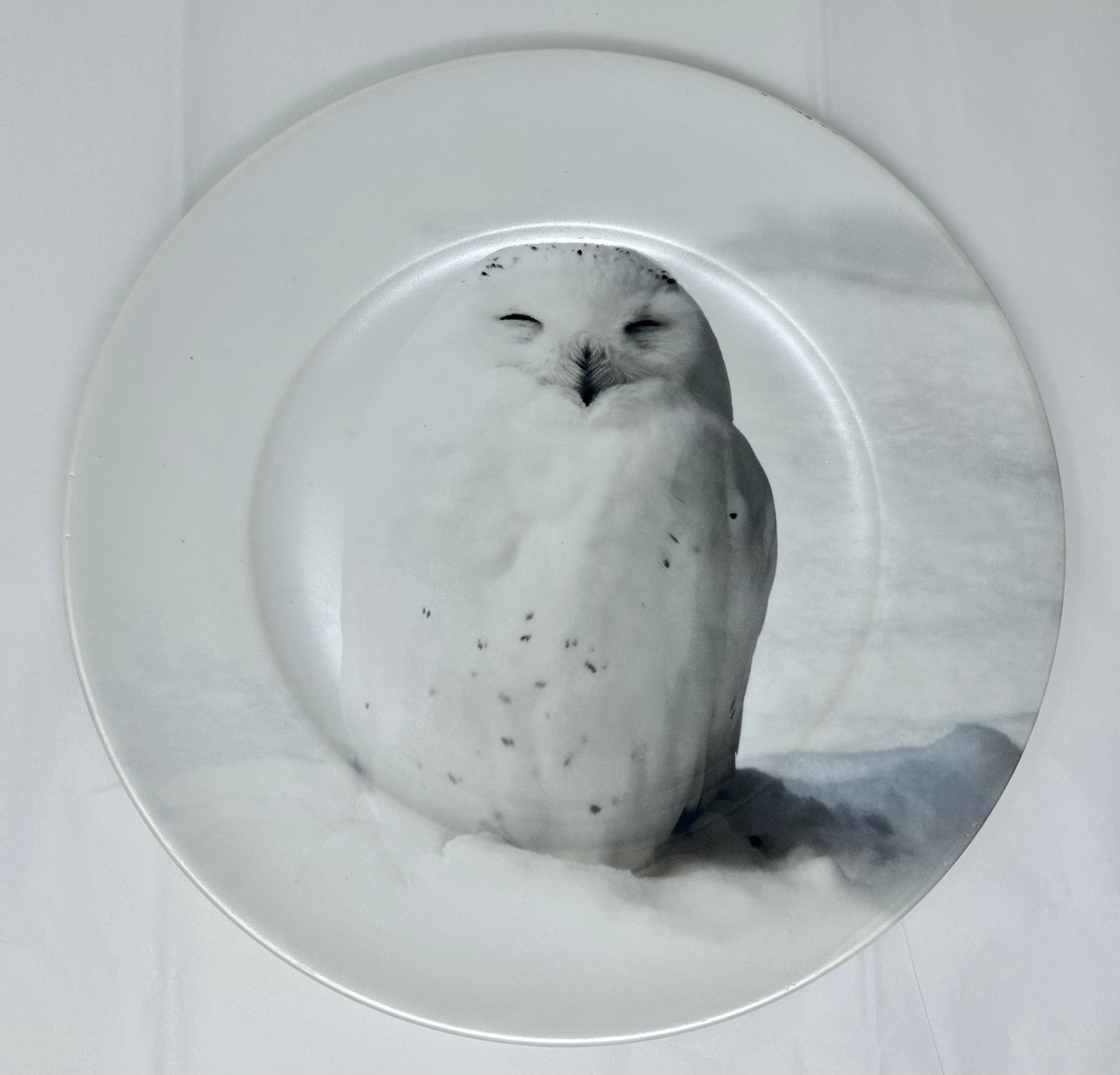 Robert Stanley plate snow snowy owl 10.8" winter white