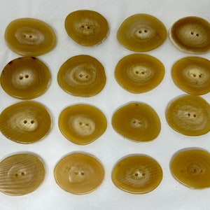 16 Buffalo Horn Buttons knitting sewing sweater slice