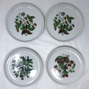 Set van 4 porseleinen borden "Les Fruits Sauvages" - 7" Franse botanische lunchborden - ontwerp met wilde bessen