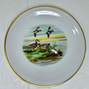 Scherzer plates - Etsy 日本