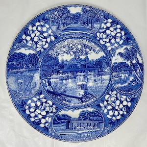 Old English Staffordshire Ware Silver Springs, Florida transferware blauw wit bord 10&quot; Engeland