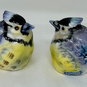 Vintage Norcrest Blue Jay Salt and Pepper Shakers H-517 Hand Painted Ceramic Birds Japan