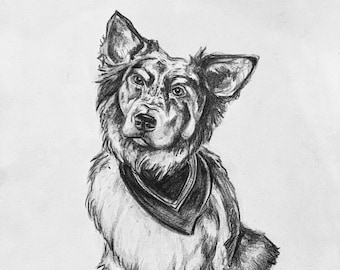 Pet Portrait from Photo, Custom Pet Portrait, Drawn Pet Portraits, Personalized Pet Portrait Gifts, Customized Art, Pet Art, Pet Memorial