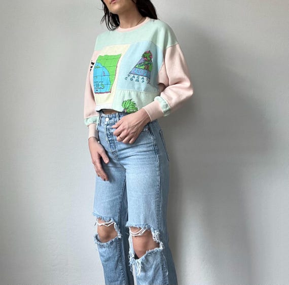 Vintage Pastel Colorblock Passports Graphic Pullover Sweatshirt