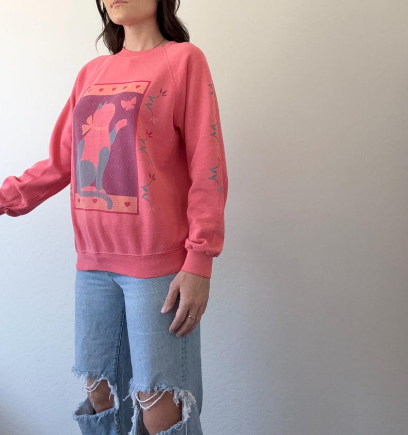 May include: A coral sweatshirt with a cat graphic in a framed design. The cat is in pink and blue, with floral and heart accents. The sleeves have floral details. A casual, comfortable top.