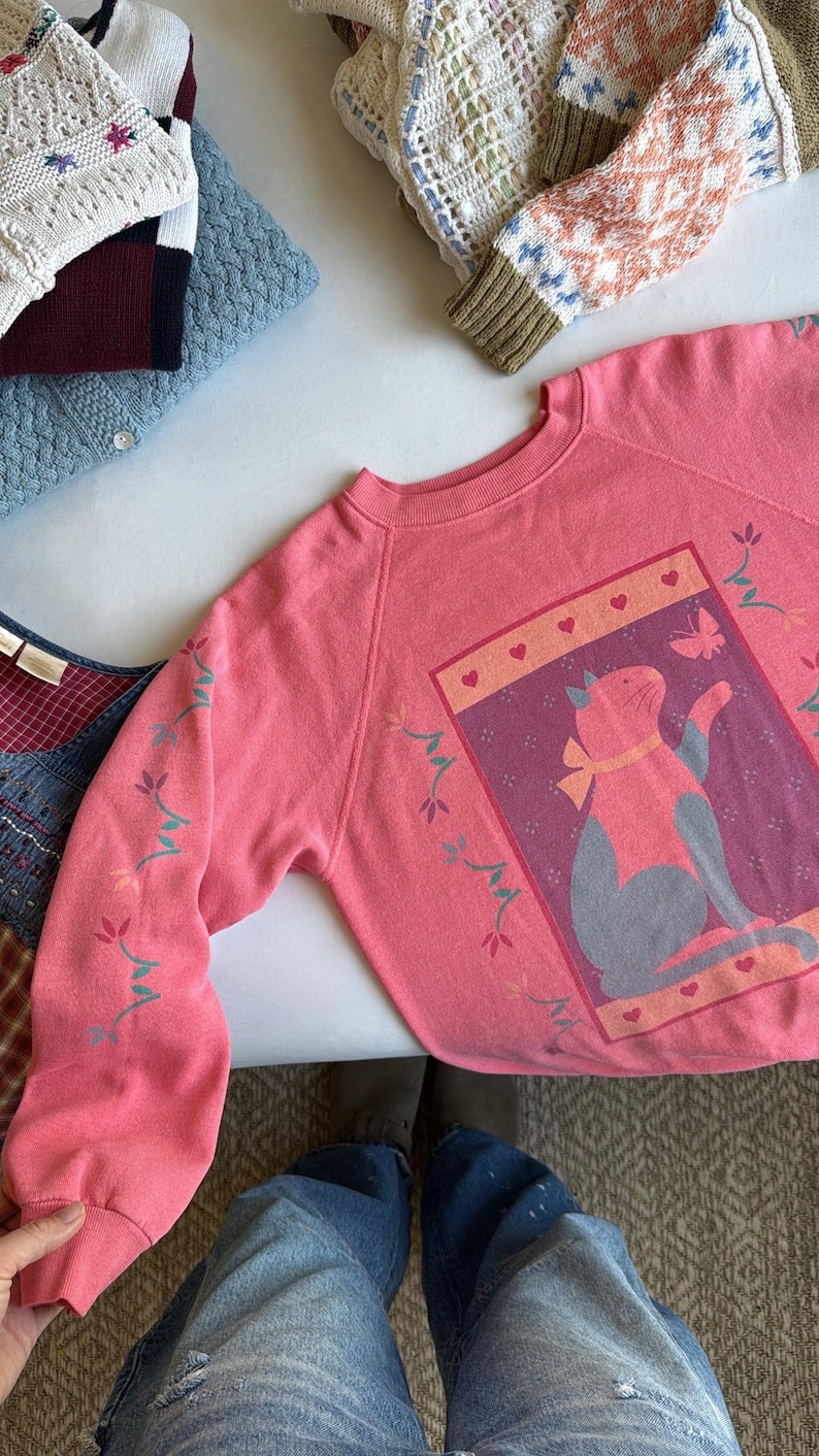 May include: A pink sweatshirt with a cat illustration in a rectangular frame, decorated with hearts and a butterfly. Floral patterns adorn the sleeves. Other sweaters are visible in the background.