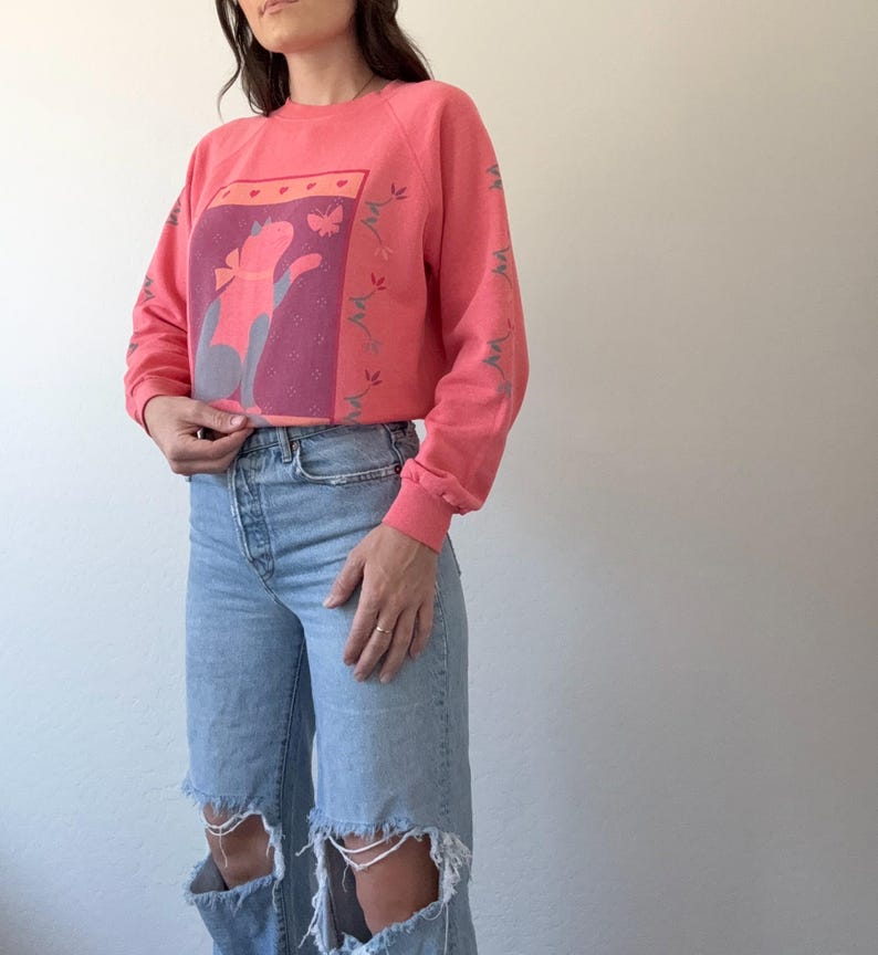 May include: A coral sweatshirt with a cat graphic in a rectangular design. The cat is gray with a pink bow, set against a purple background. Floral and butterfly accents adorn the sleeves and design. The sweatshirt is paired with light blue, ripped-knee jeans.