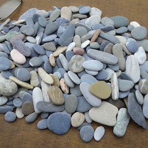 300 beach stones 0.4"- 1.6"[1-4cm]. Different types, shapes and colors. Natural sea pebbles for various crafts, pebble art and decoration.