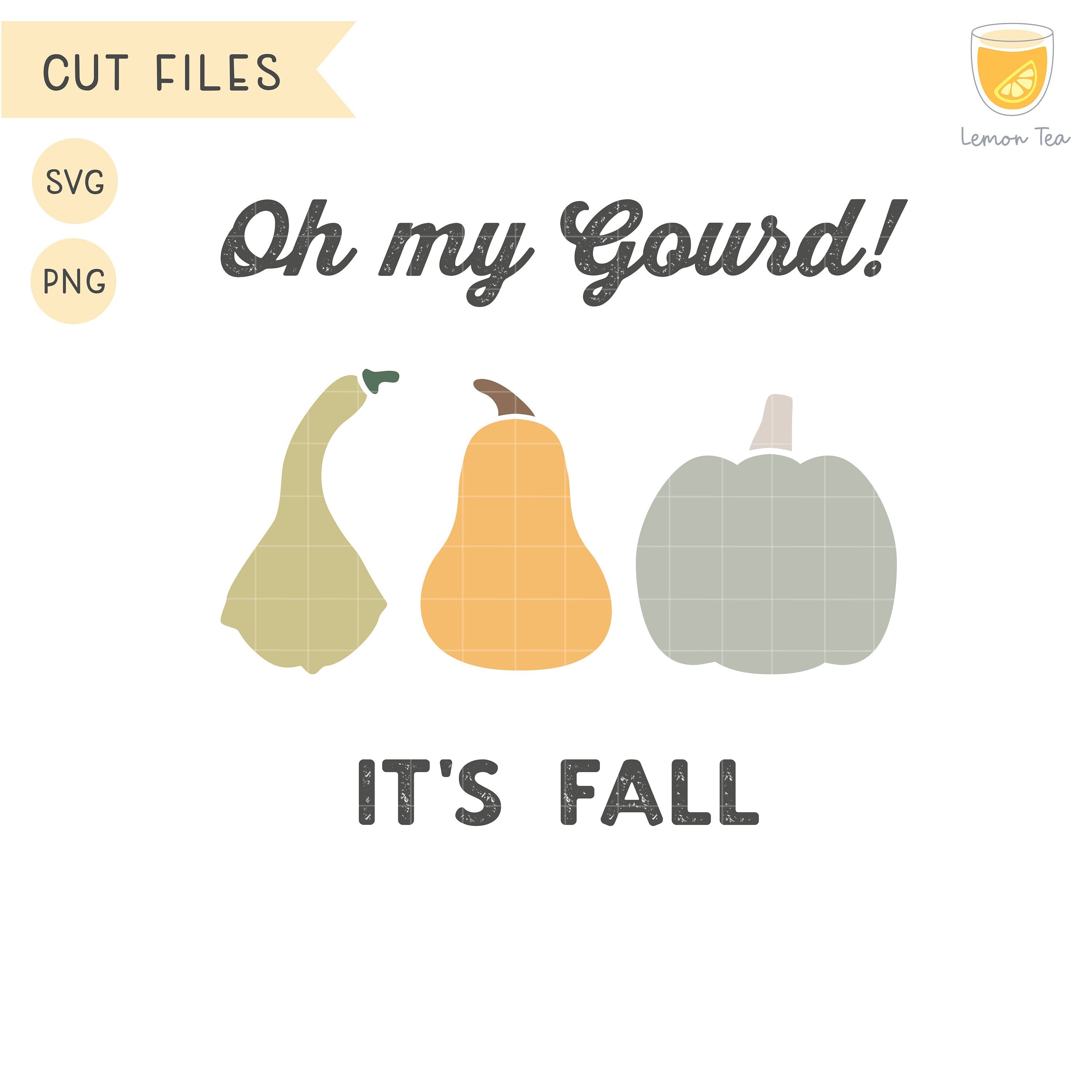 Oh My Gourd SVG, Pumpkin Clipart, Fall SVG, Pumpkin PNG, Vector